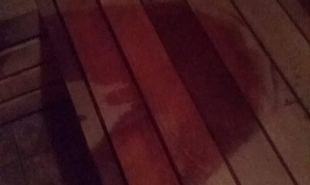 Went to the Sauna this morning