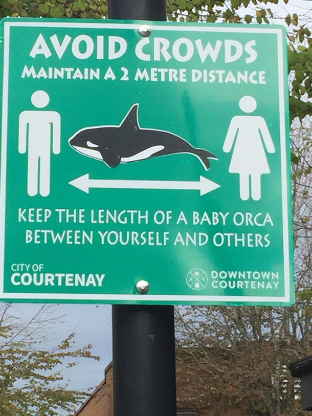 West coast measurement