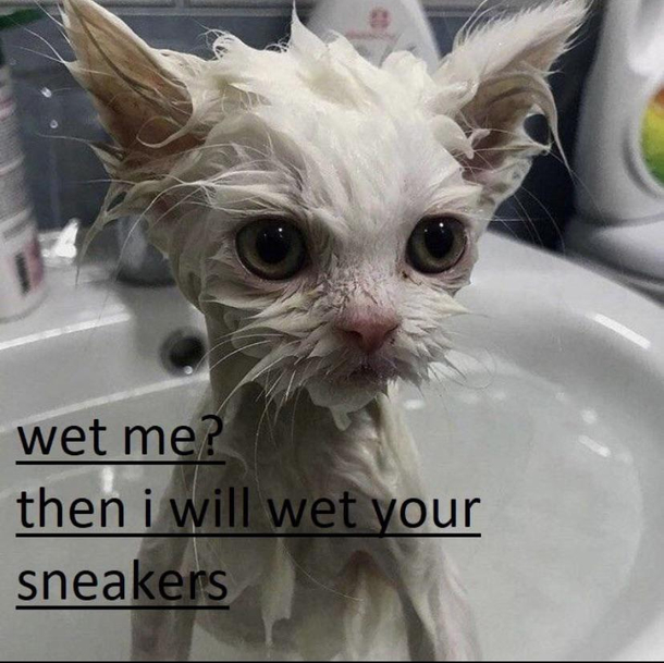 Wet me