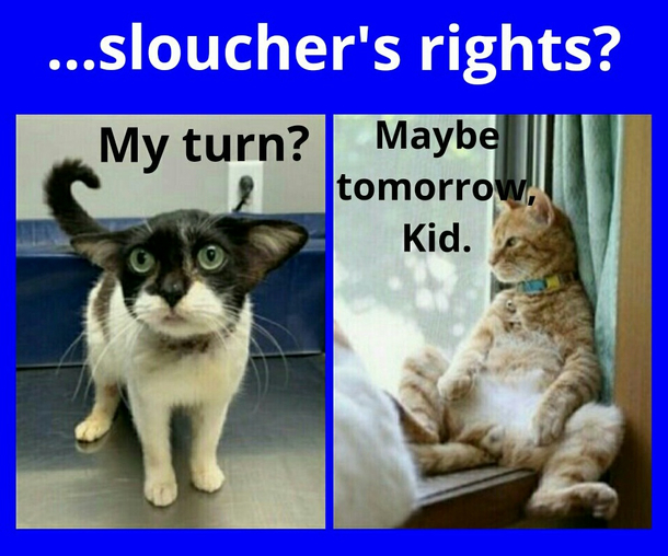 Weve all heard of squatters rights but how about