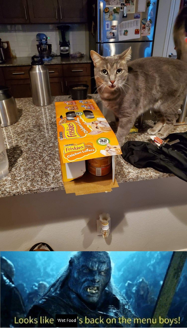 Weve had nothing but maggoty dry food for three stinking days