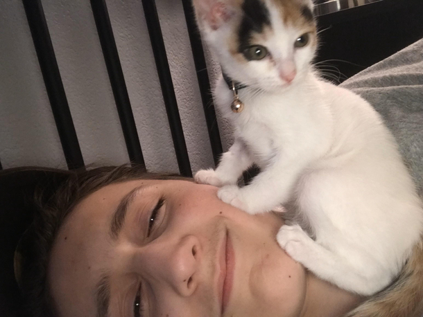 Whachu lookin at