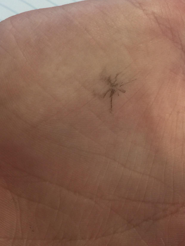 Whacked him so hard he gave me a free tattoo