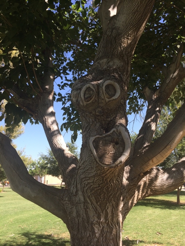 Whacky inflatable arm flailing tree man