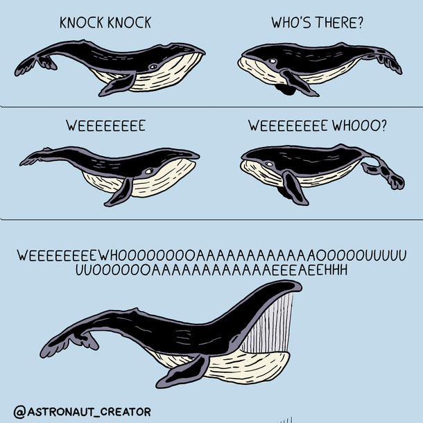 Whale Joke