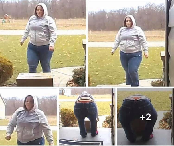 Whale Tail Porch Pirate