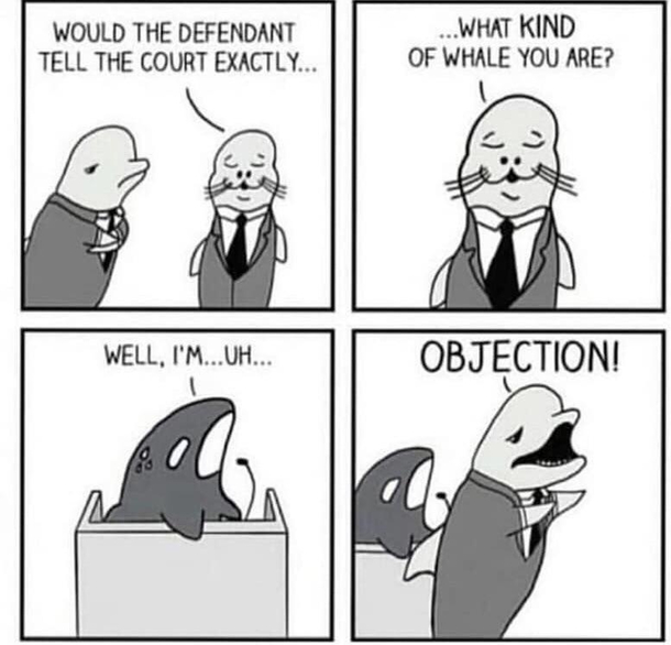 Whale thats awkard