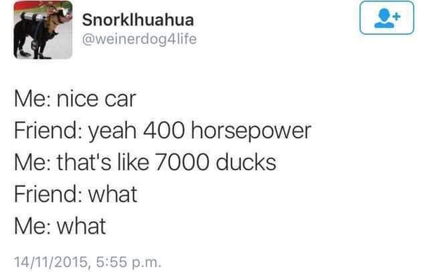 What 