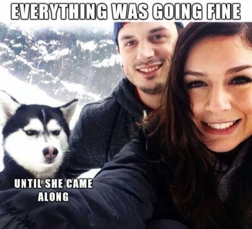 What a bitch