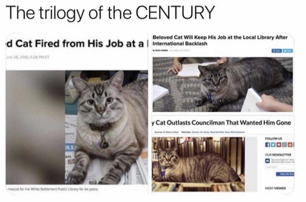 What a comeback Its easy to root for the underdog underCAT