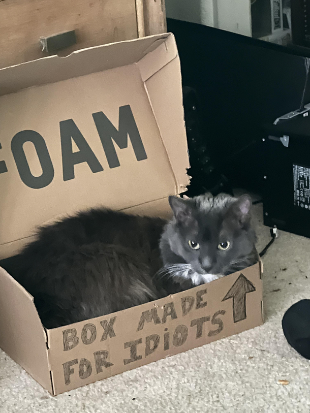 What a dummy