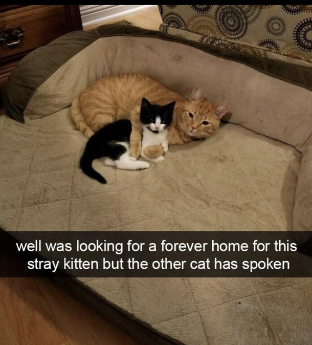 What a great decision