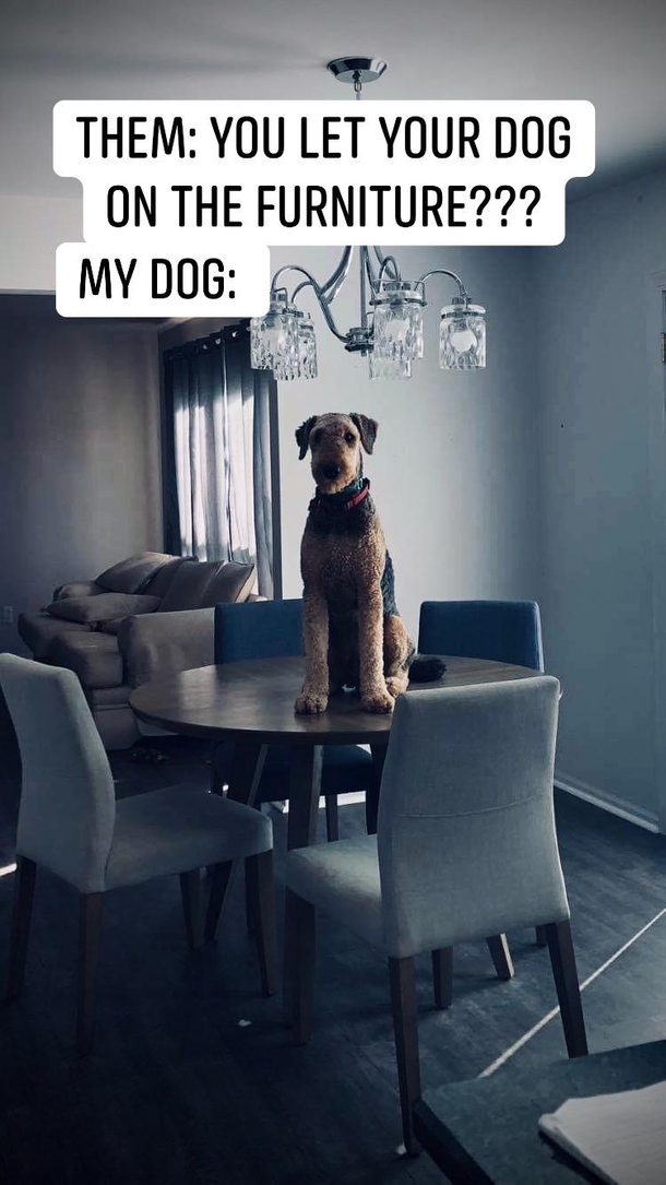 what a guy