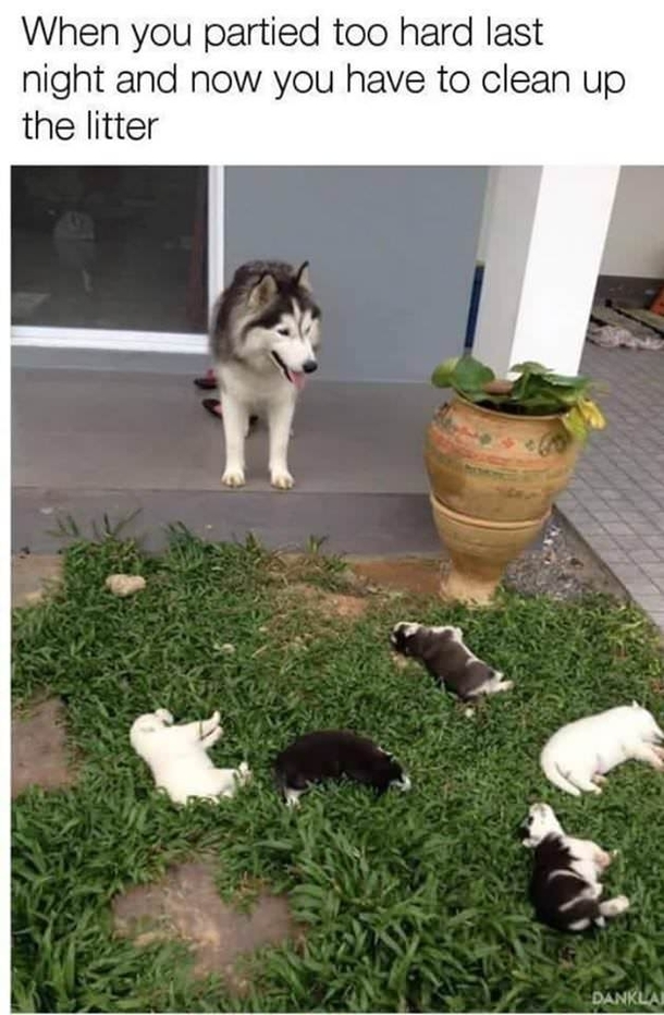 What a mess