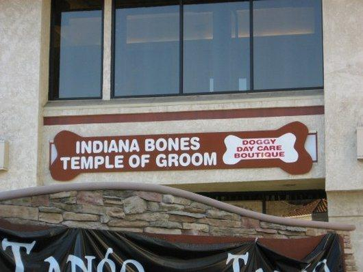 What a Name