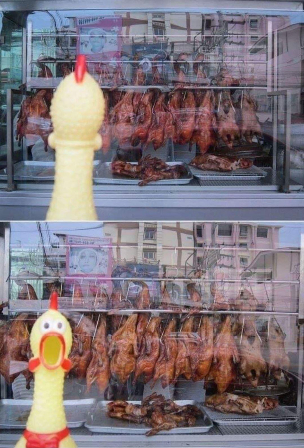 What am I looking at