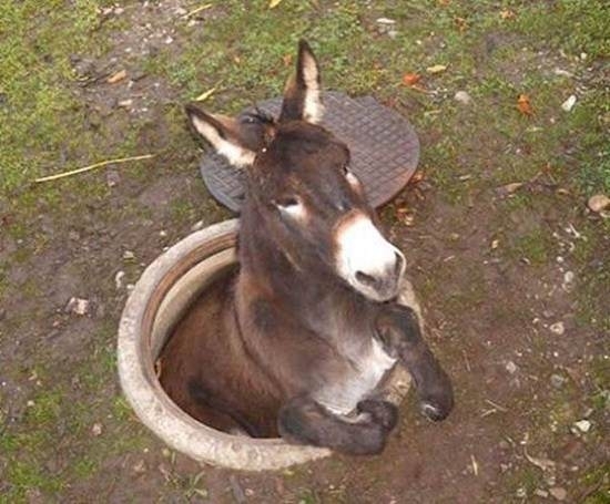 What an asshole