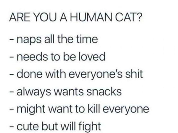 What are you