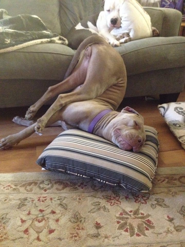 What are you doing  D