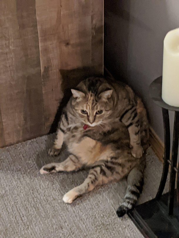 What are you looking at