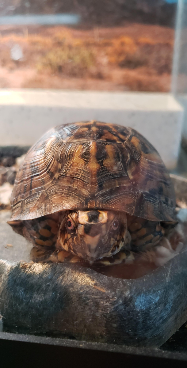 What are you looking at