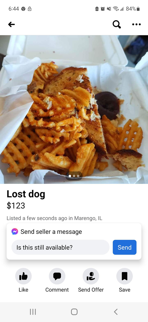what breed of dog is this