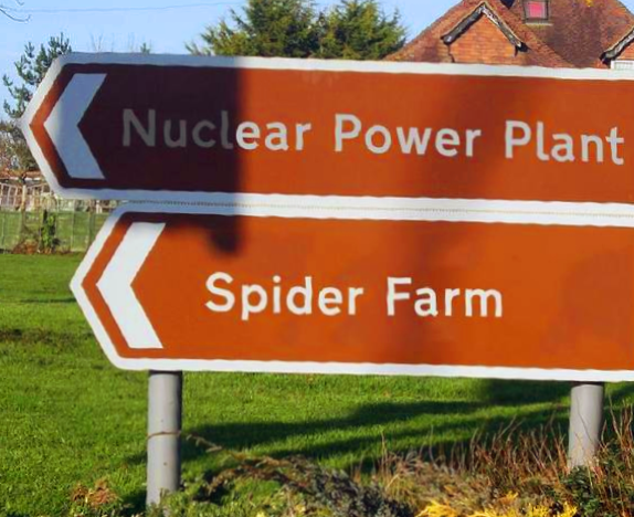 What could go wrong