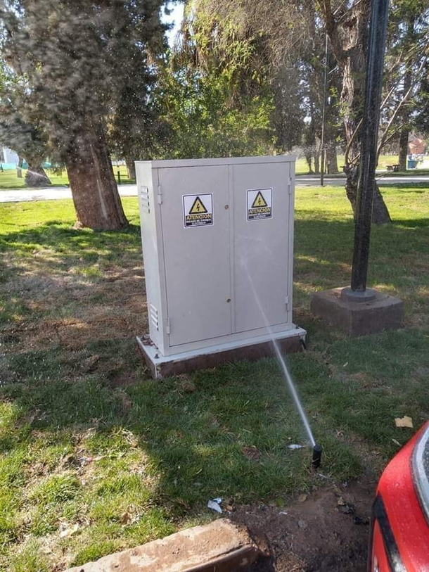 what could go wrong