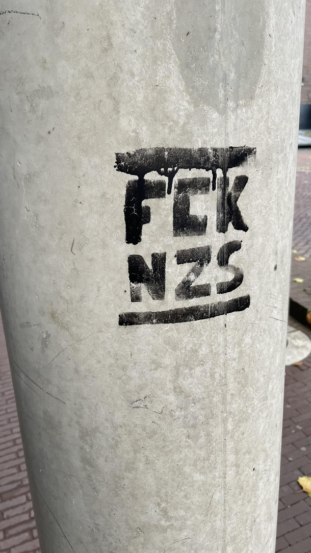 What did the New ZealanderS do wrong