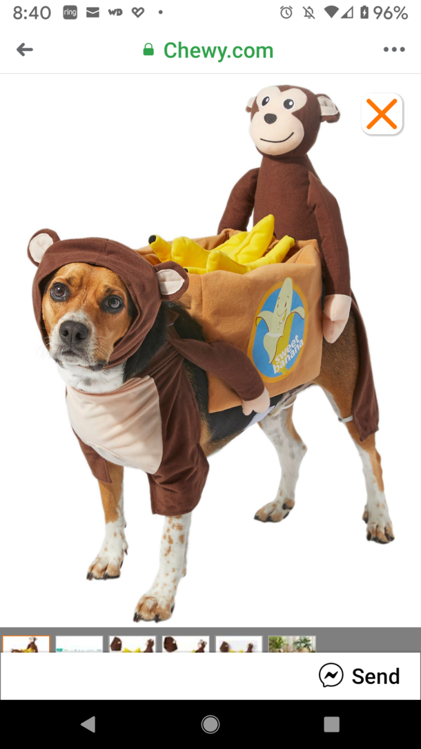 What did you think the monkey was doing on first glance The Internet has ruined me