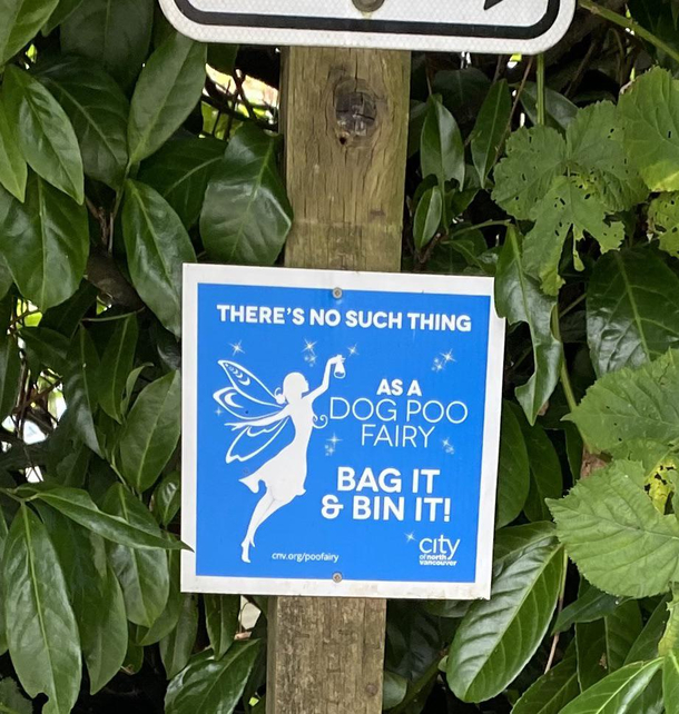 What do you mean theres no Dog Poo Fairy