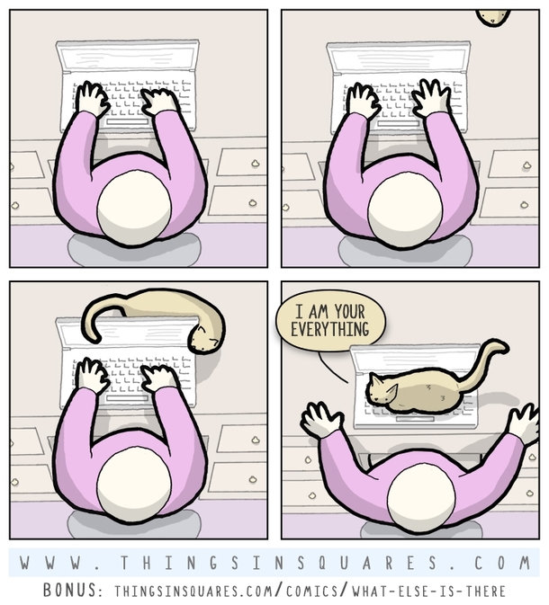 what else is there