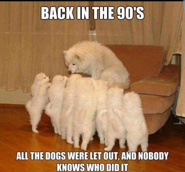 What ever happened to the Baha Men