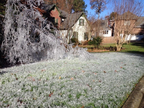 what happens when your neighbor leaves for vacation with their sprinkler system still running OC x-post rmildyinteresting