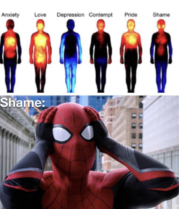 What have I done