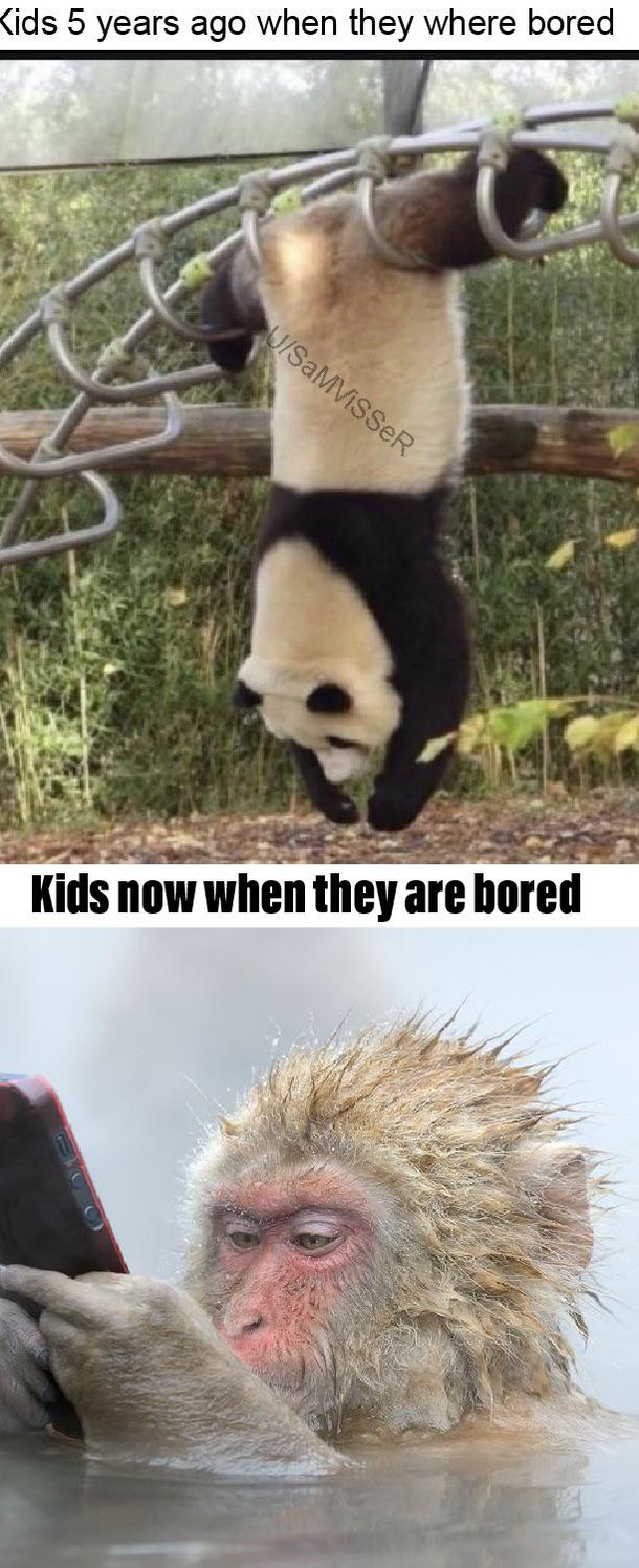 What have we done