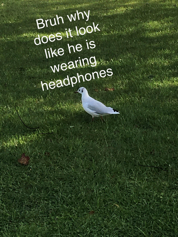 What he listening to though