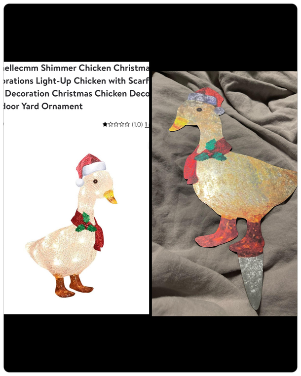 What I expected on the left a cute light up christmas duck vs what I got