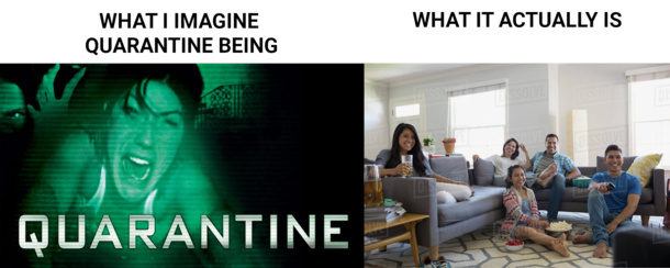 What I imagine quarantine being vs Reality