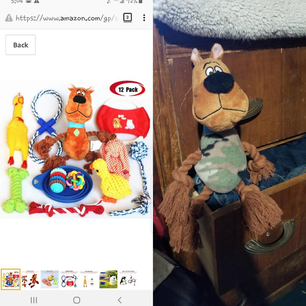 What I ordered vs what I got Everyone in the reviews got the RIGHT onebut not me Meet Frankenscoobie