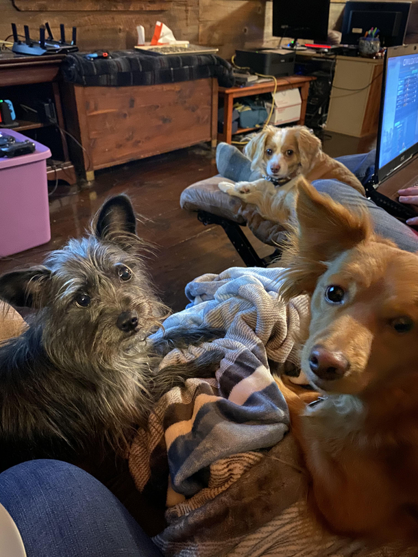 What I see every time I eat