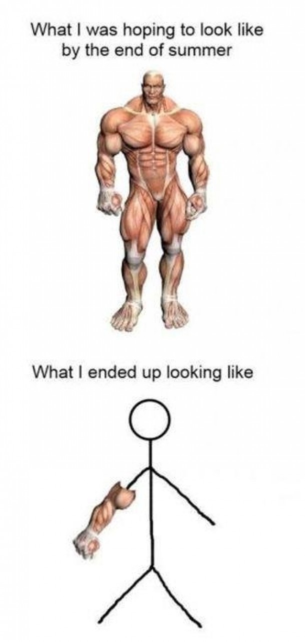 What I was hoping to look like at the end of summer  