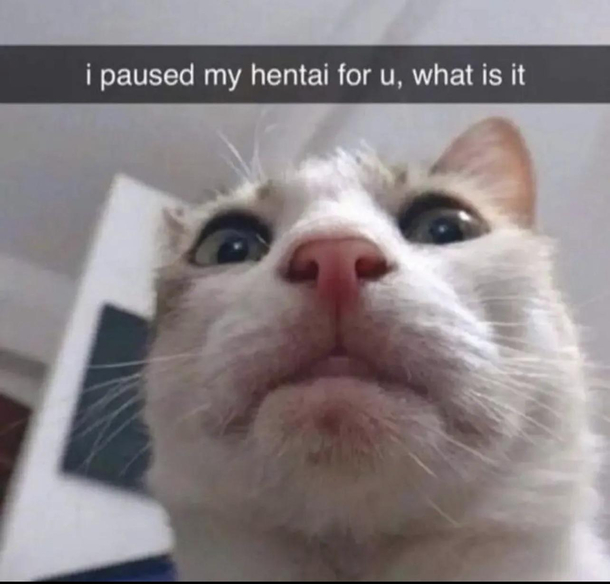 What is it
