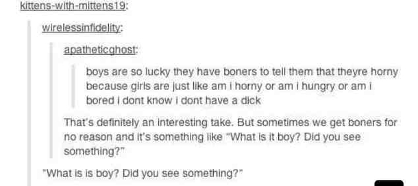 What is it boy