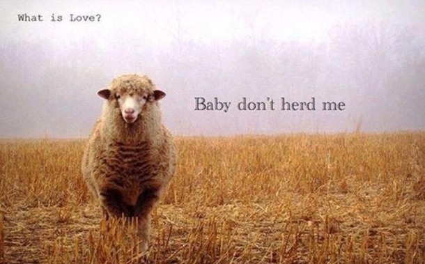 What is love