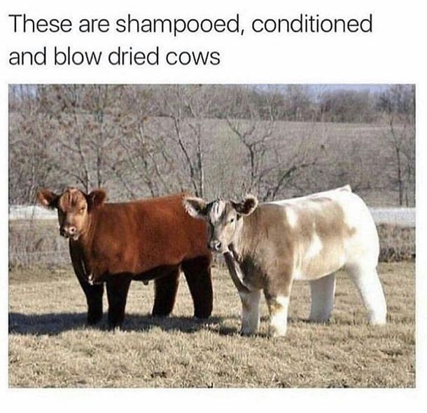 What is seen cant be unseen
