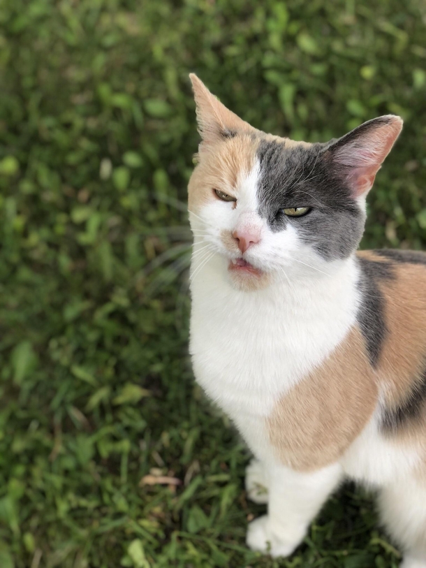 What is this face