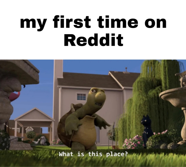 What is this place