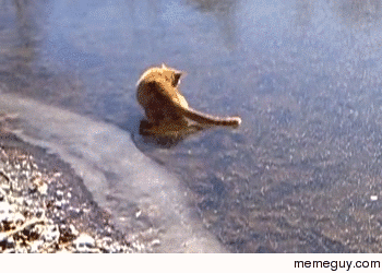 What is this slippery stuff