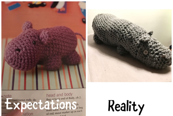 What it was supposed to look and what I did crocheted  